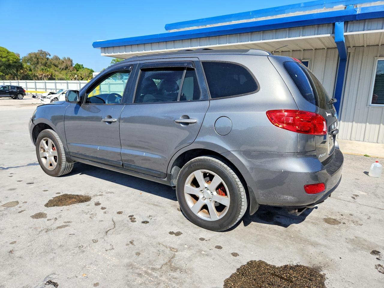 2009 Hyundai Santa Fe Se - Фото 2