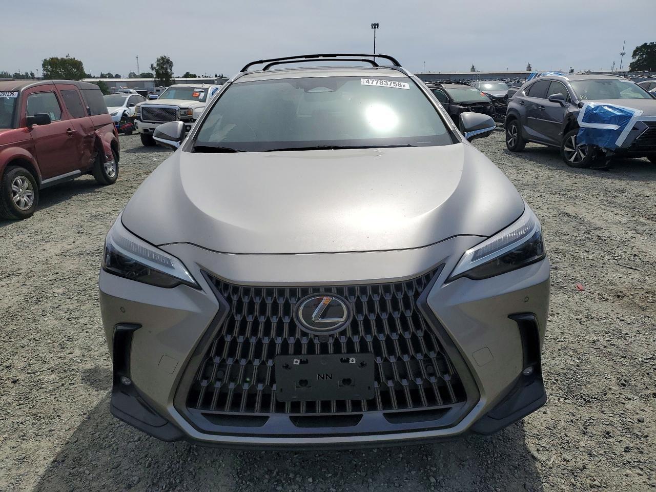 2024 Lexus Nx 350 Premium - Фото 5