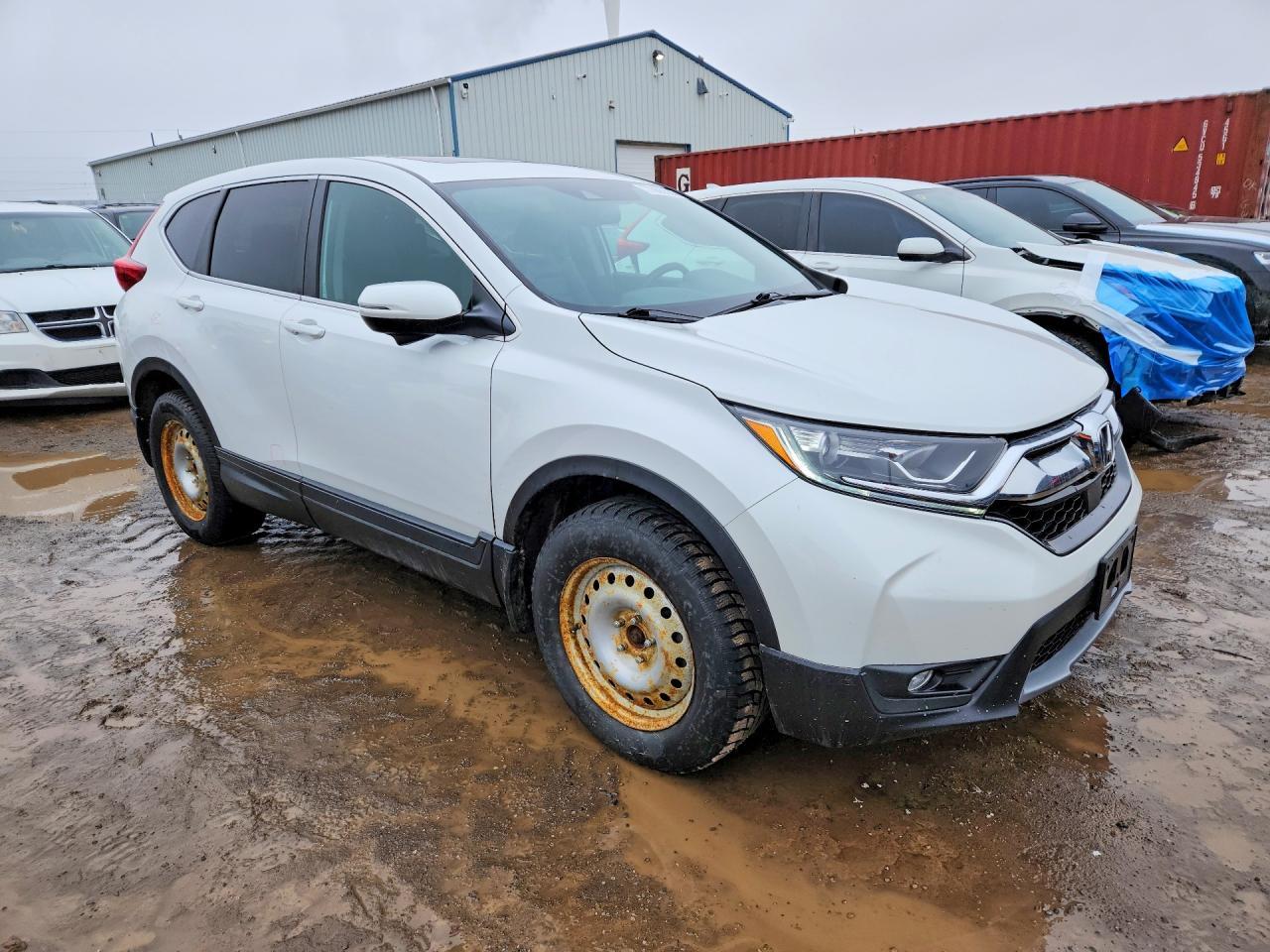 2019 Honda Cr-V Exl - Image 4