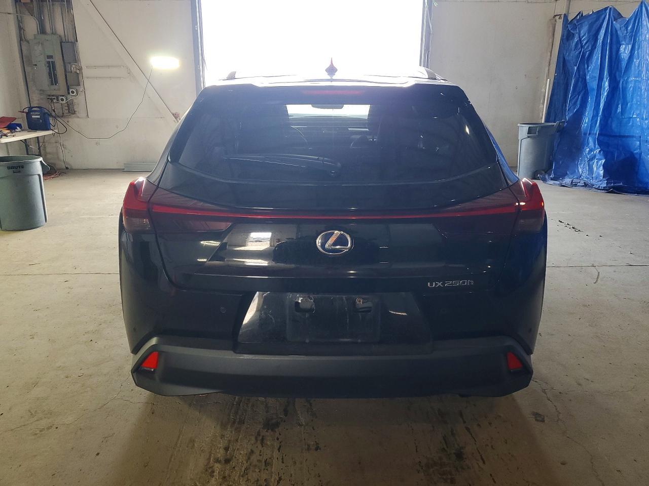 2022 Lexus Ux 250H Base - Фото 6