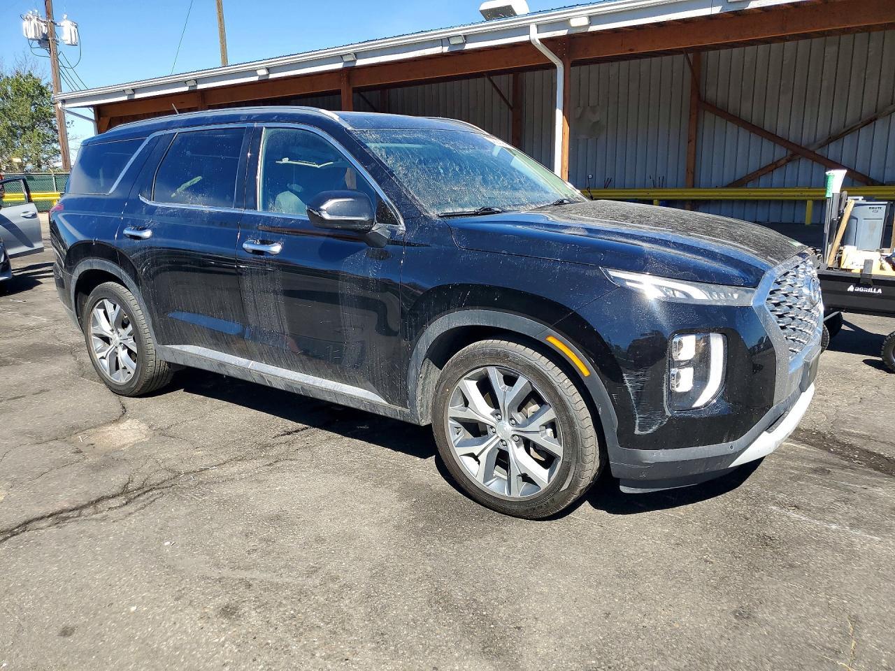 2020 Hyundai Palisade Sel - Фото 4