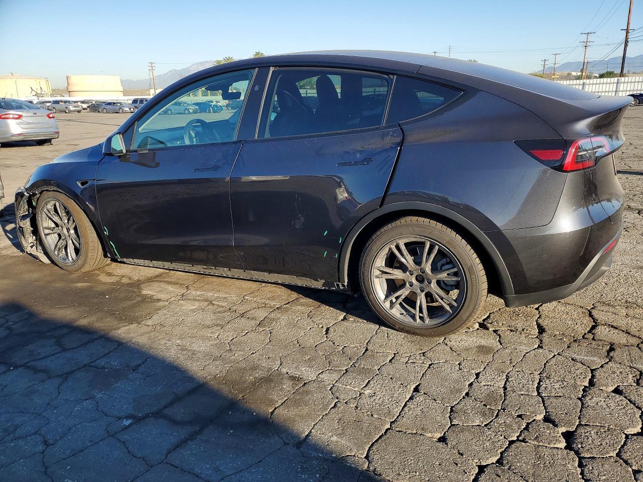 2024 Tesla Model Y - Фото 2