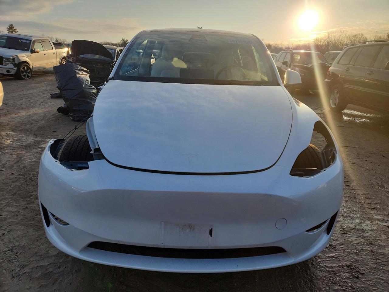 2023 Tesla Model Y - Image 5