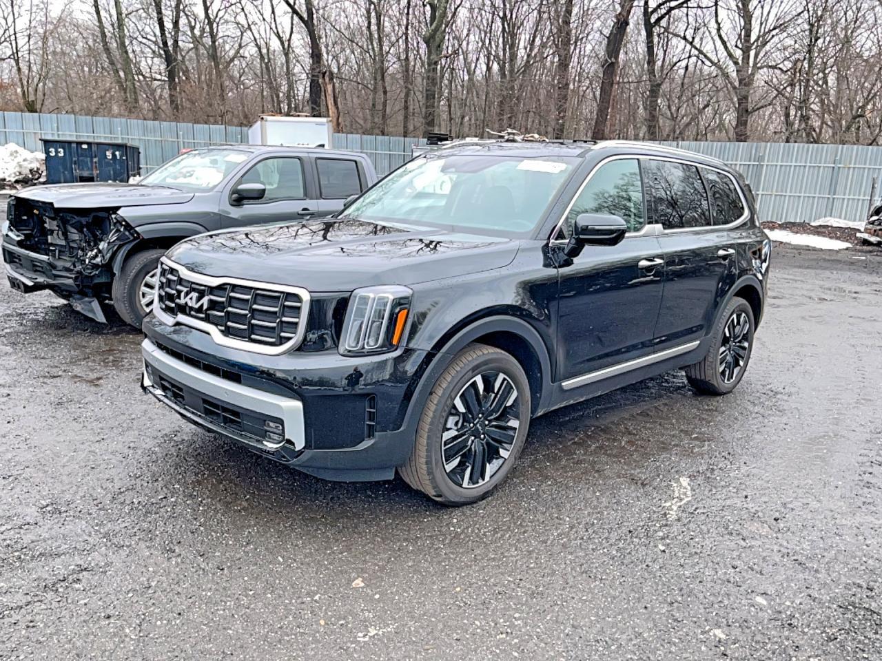 2025 Kia Telluride Sx - Image 2