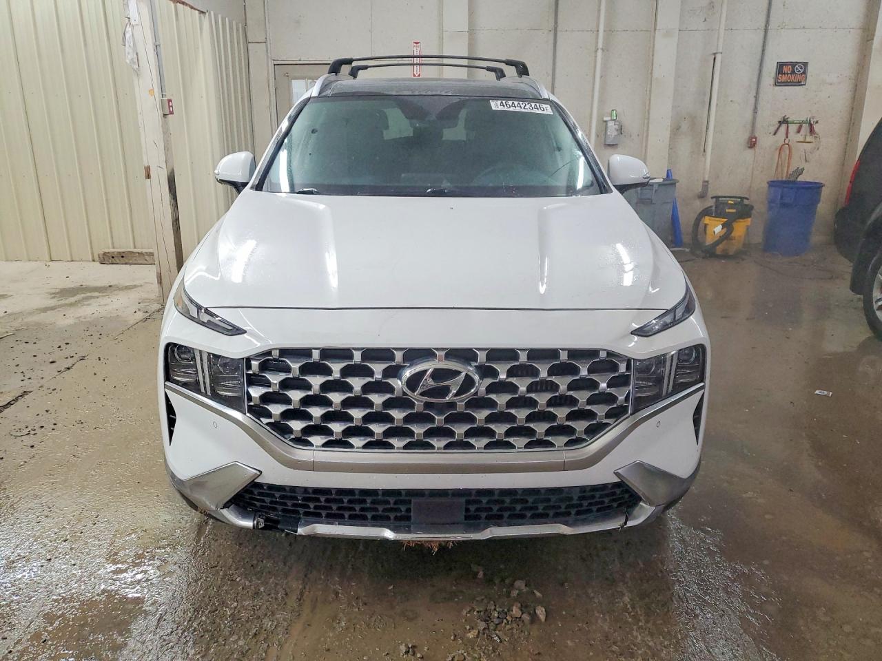 2023 Hyundai Santa Fe Hybrid Limited - Фото 5