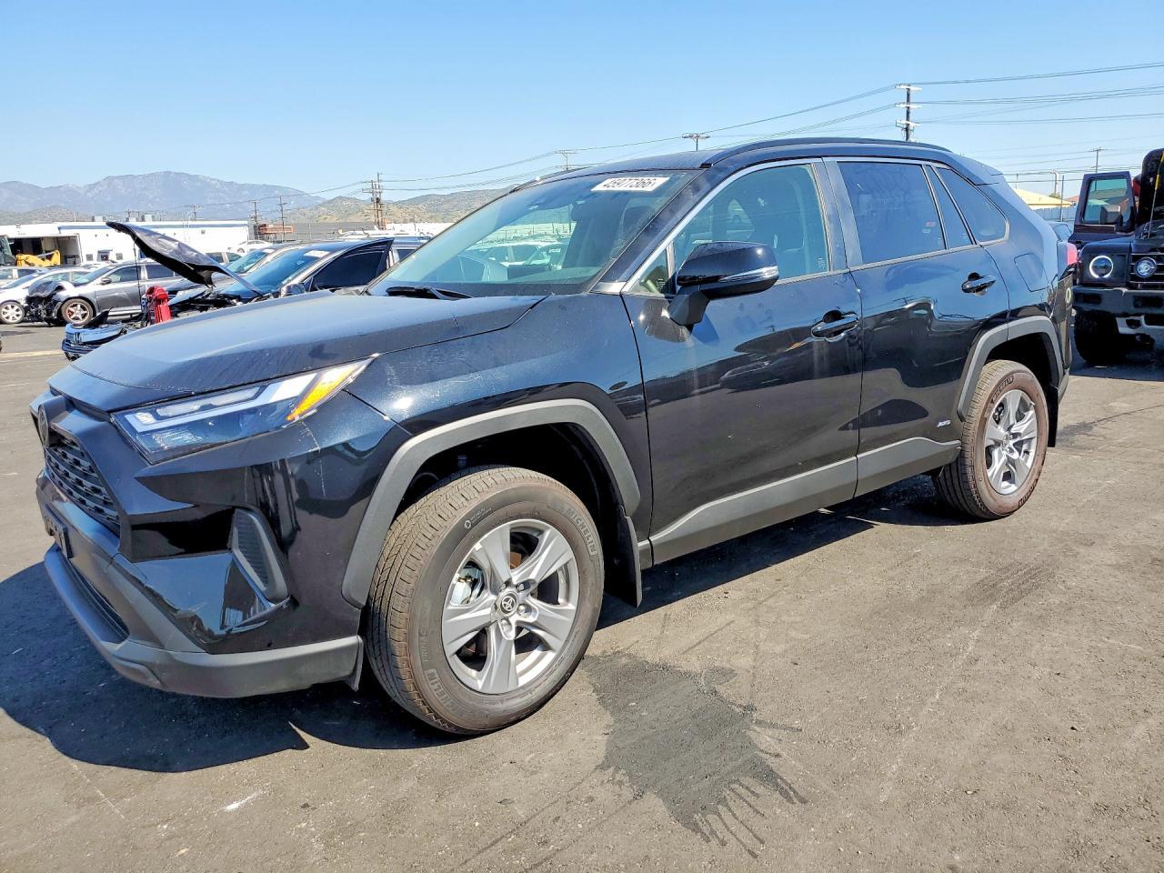 2025 Toyota Rav4 Le/Xle Premium