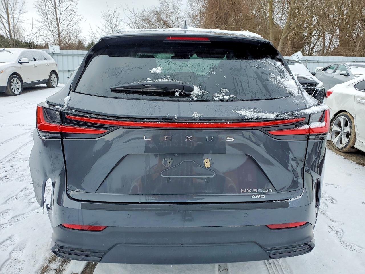 2025 Lexus Nx 350 - Фото 6