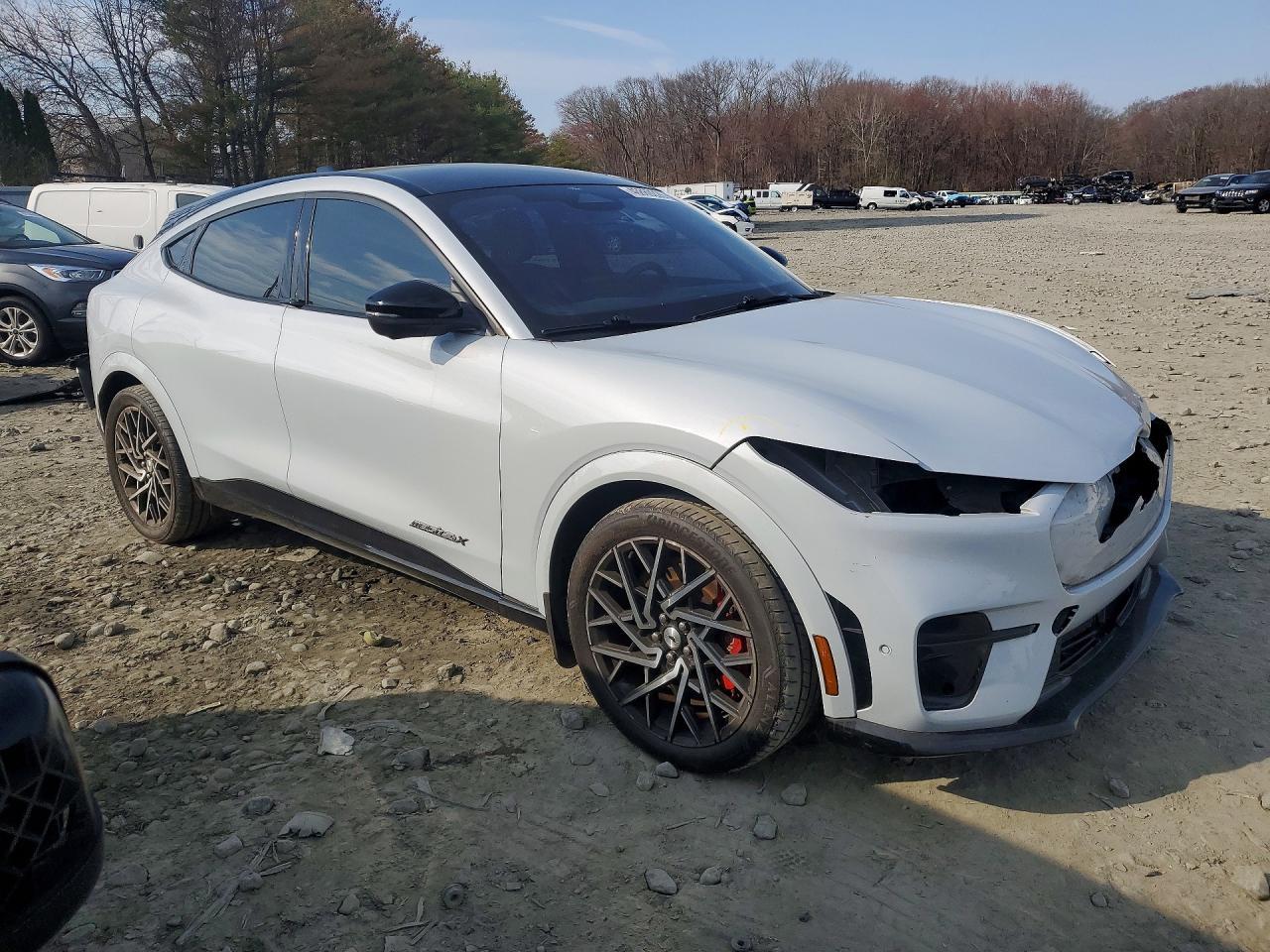 2021 Ford Mustang Mach-E Gt - Image 4