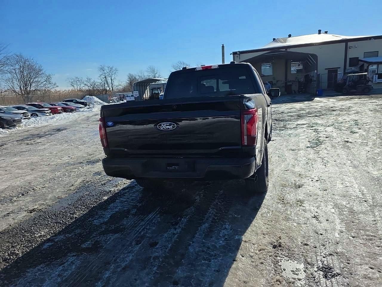 2024 Ford F150 Platinum - Фото 6