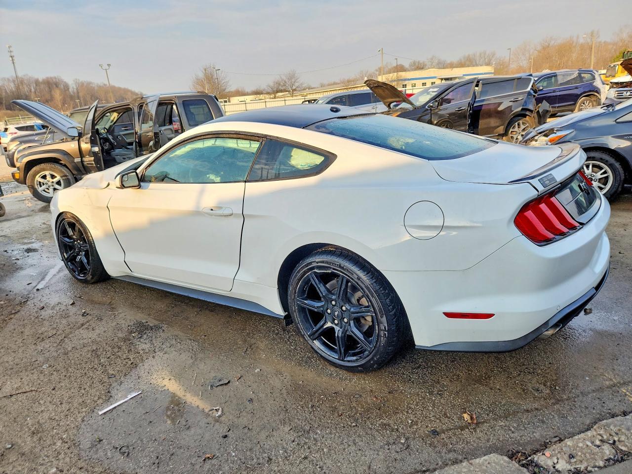 2019 Ford Mustang - Image 2