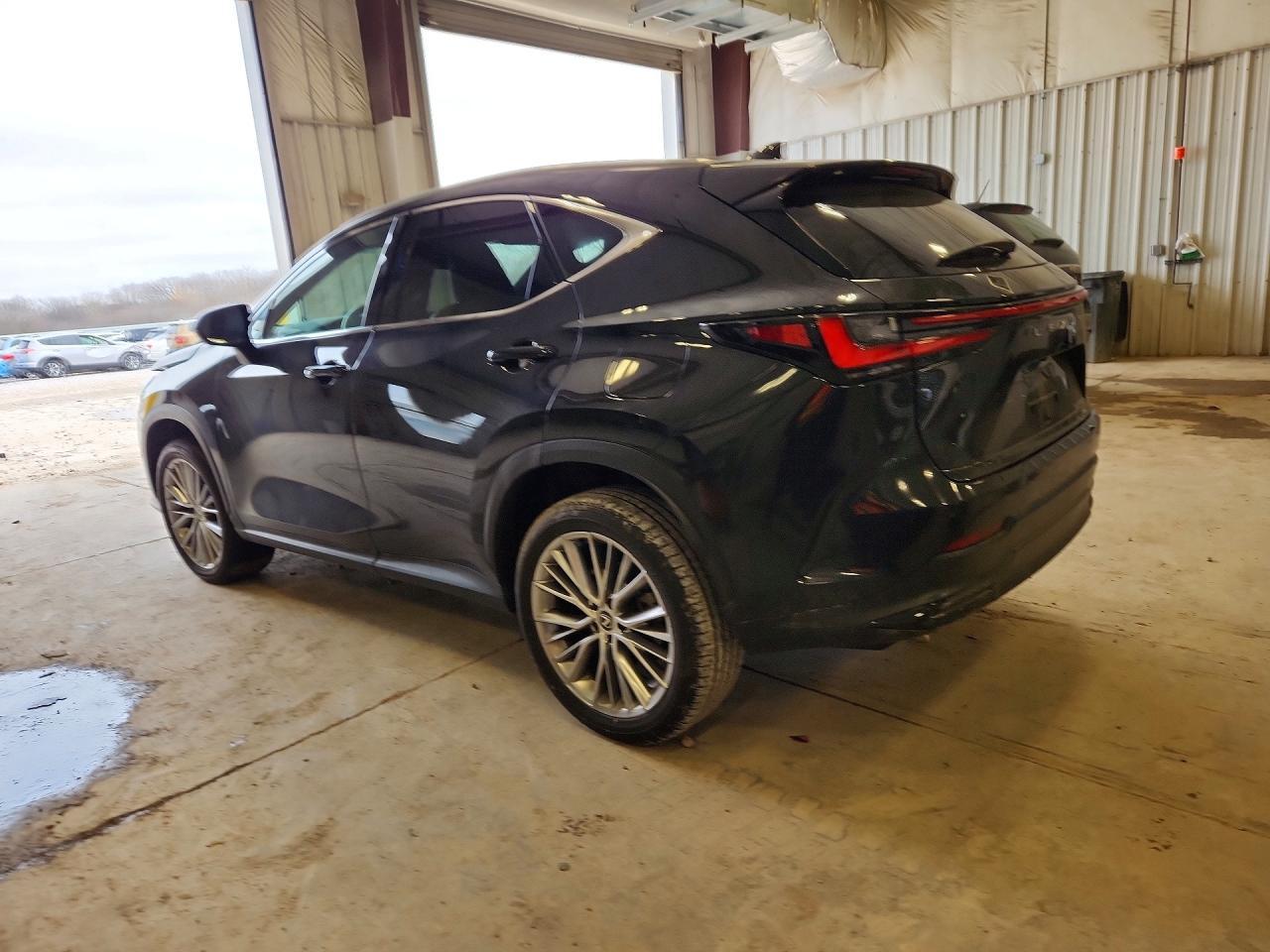 2024 Lexus Nx 350H Luxury - Фото 2