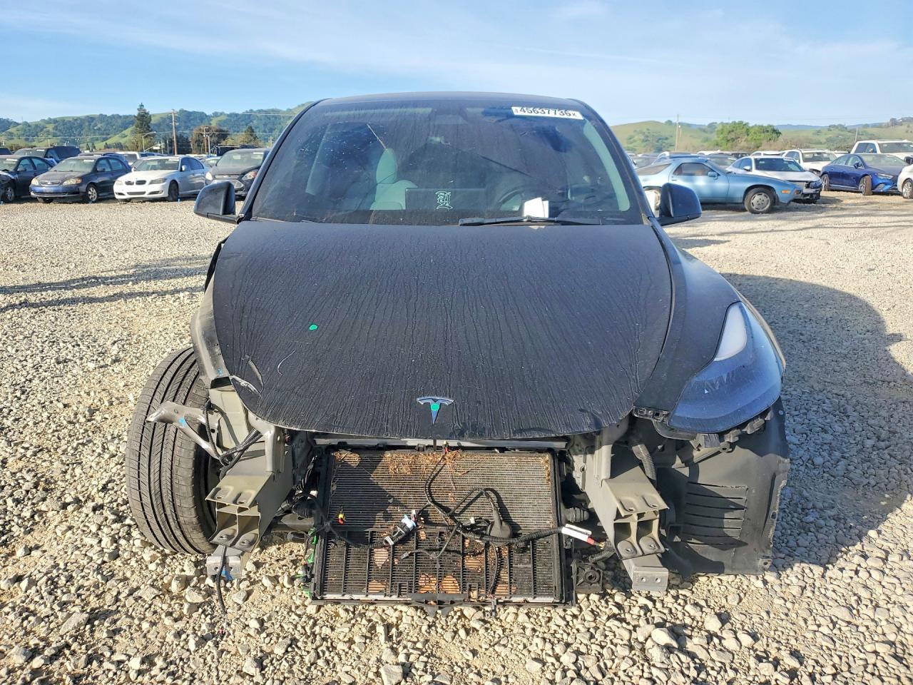 2023 Tesla Model Y - Фото 5
