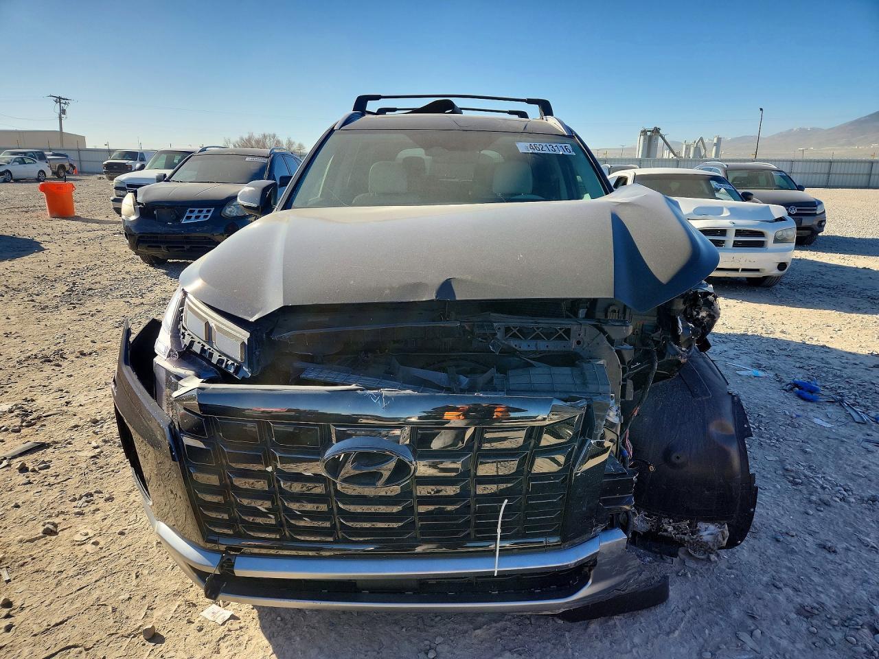 2024 Hyundai Palisade Limited - Фото 5