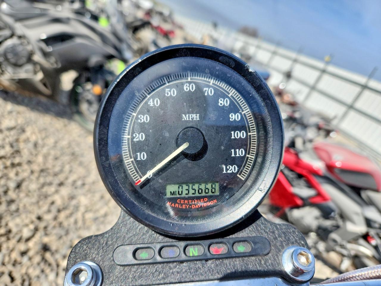 2004 Harley-Davidson Xl 883 / Sportster 883 - Фото 7