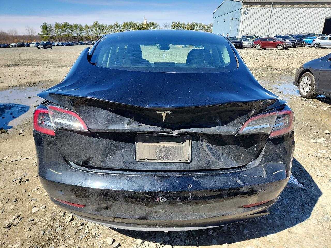 2023 Tesla Model 3 - Фото 6