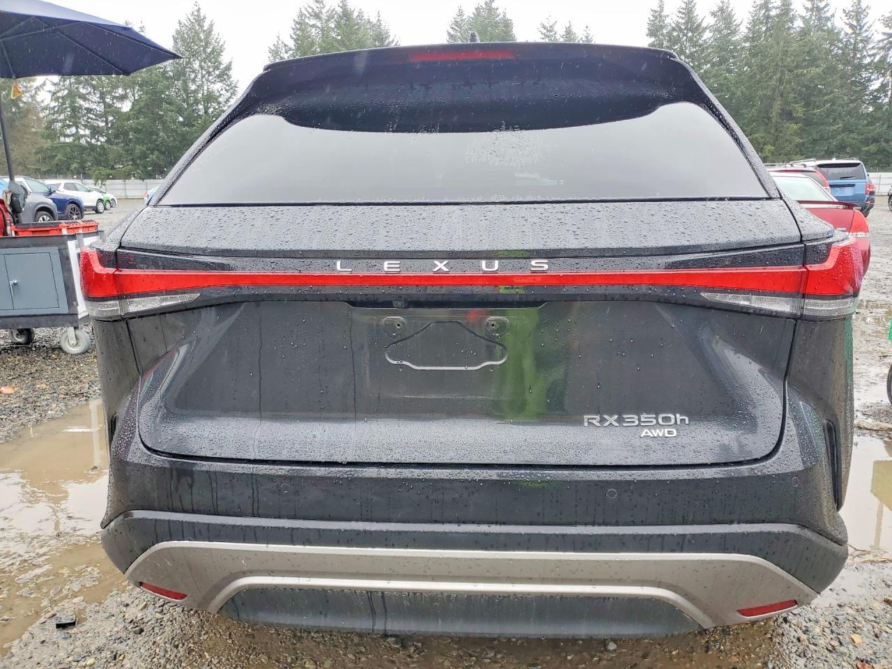 2024 Lexus Rx 350H Premium+ - Фото 6