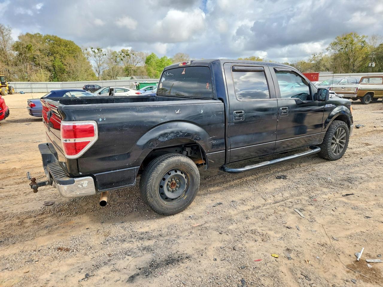 2010 Ford F150 Supercrew - Фото 3
