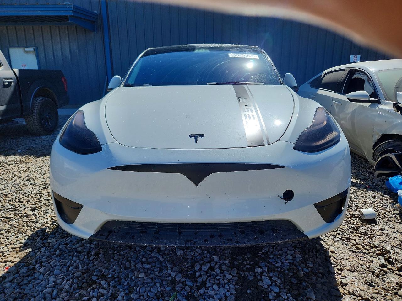 2023 Tesla Model Y - Фото 5