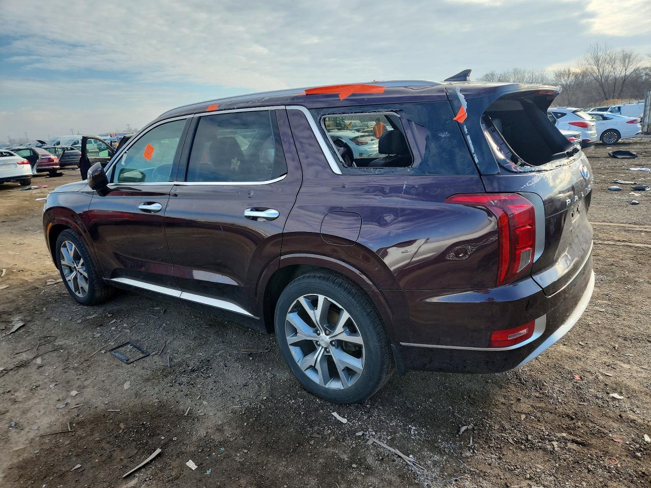 2021 Hyundai Palisade Limited - Фото 2