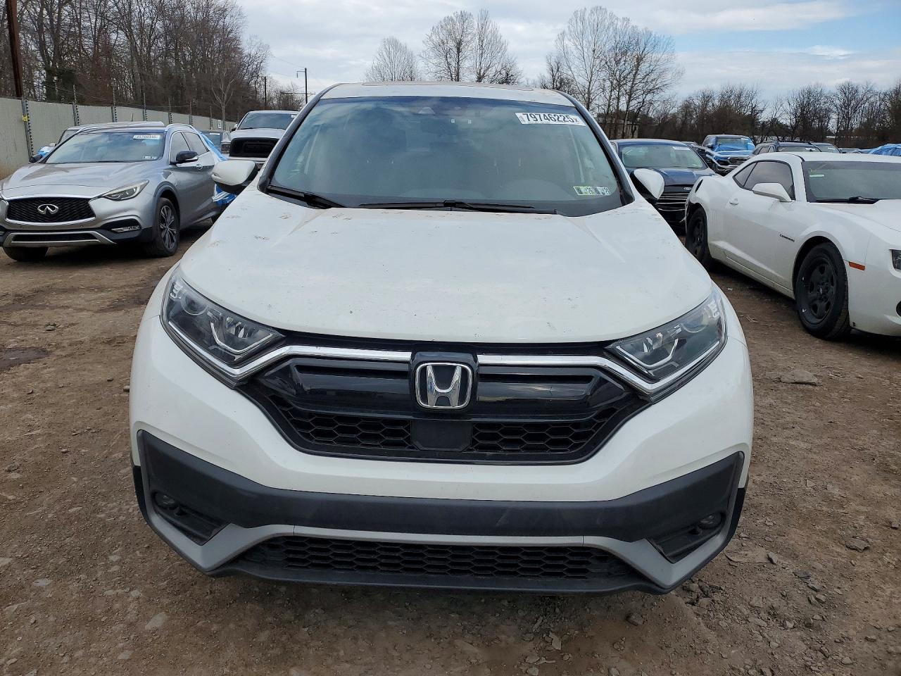 2022 Honda Cr-V Ex - Image 5