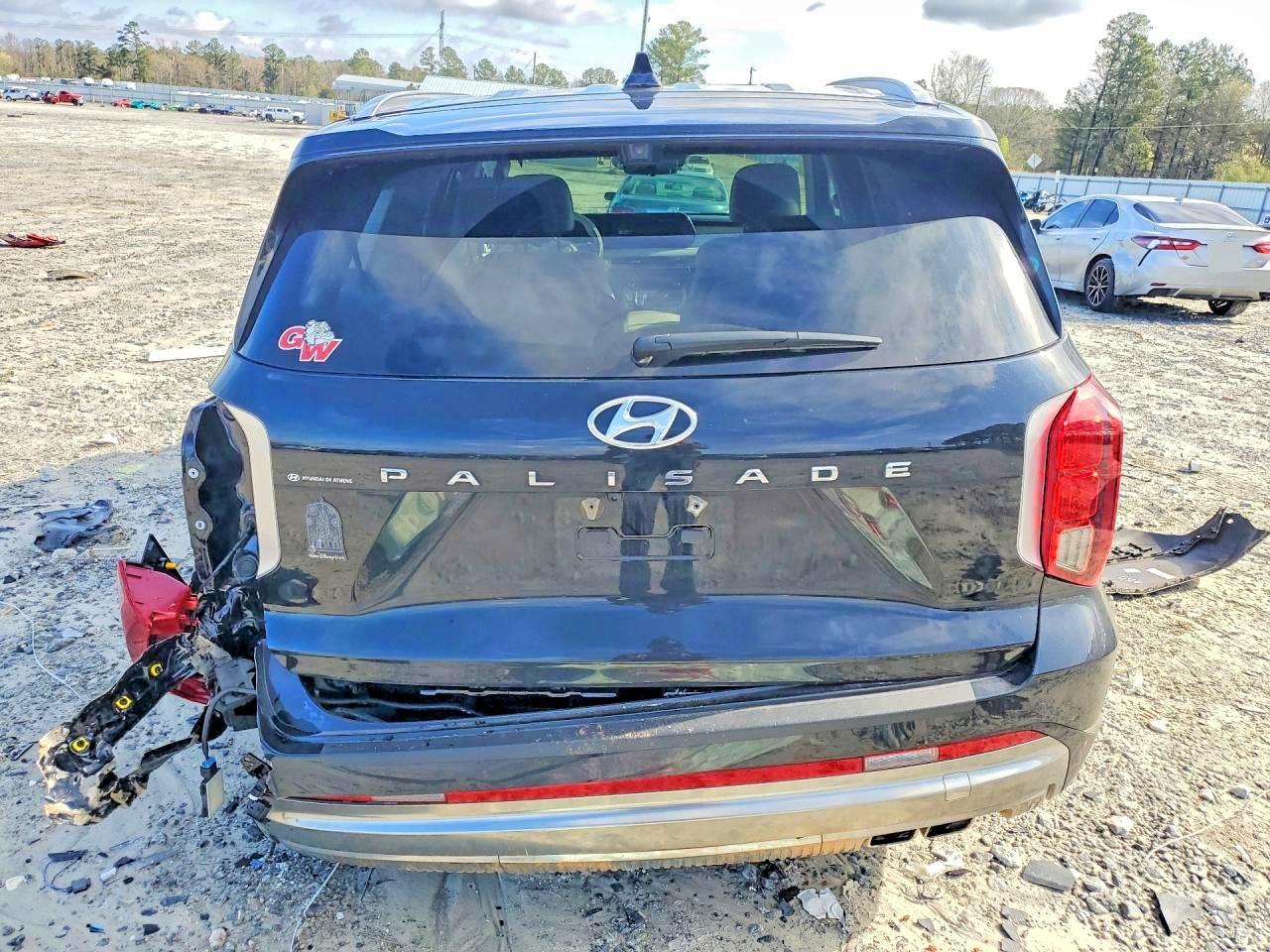2024 Hyundai Palisade Calligraphy - Фото 6