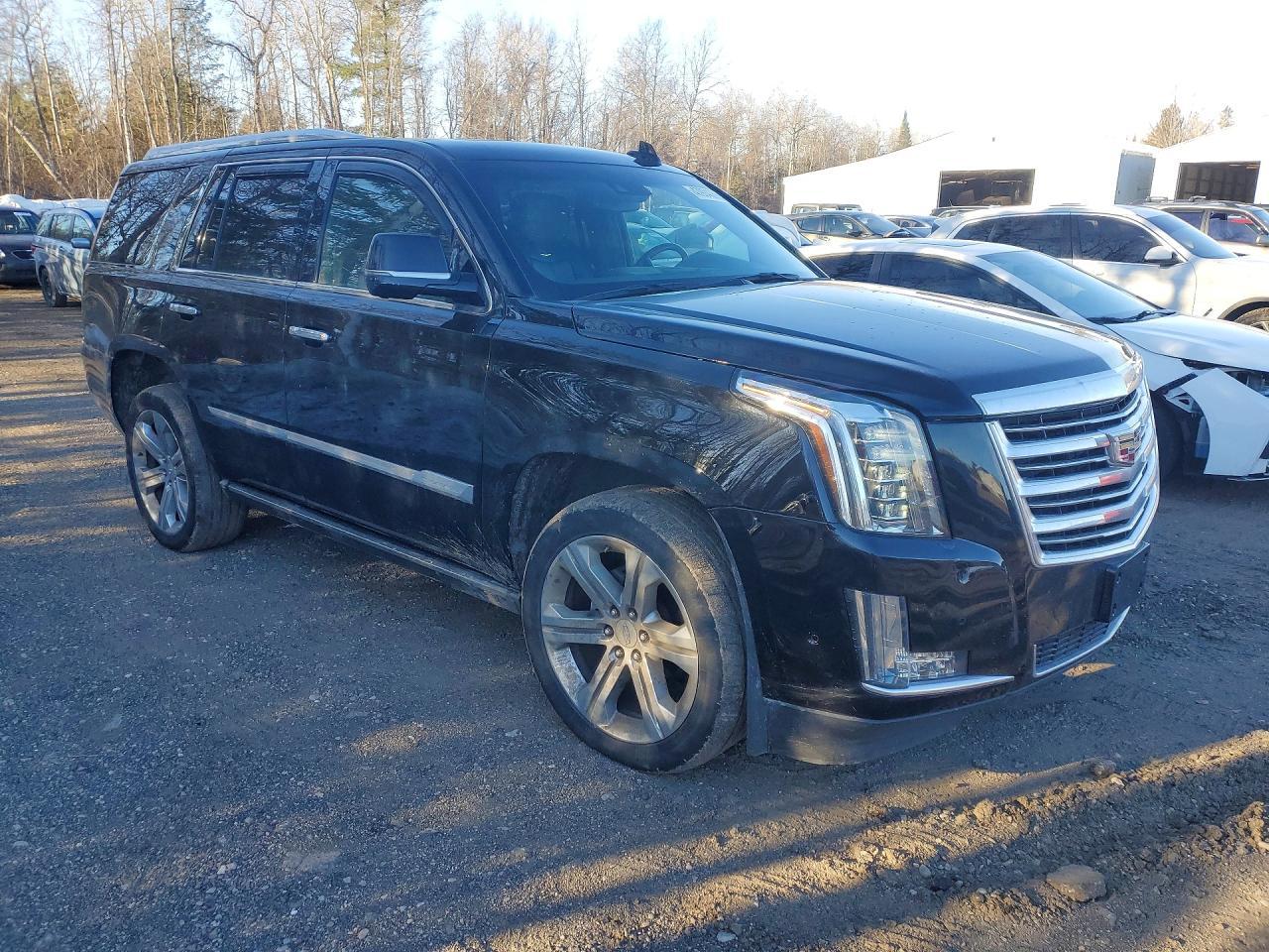 2019 Cadillac Escalade Platinum - Фото 4