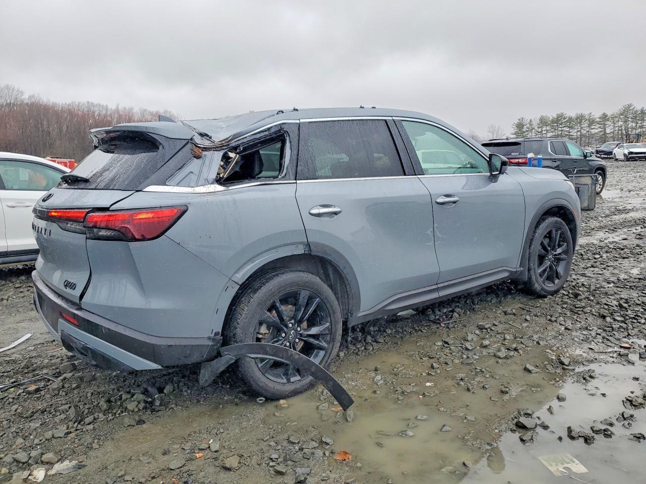 2025 Infiniti Qx60 Luxe - Фото 3