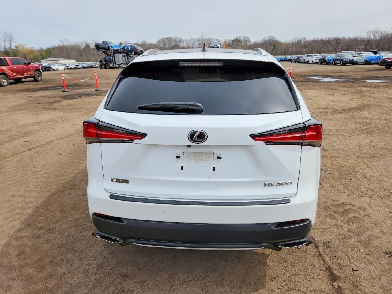 2020 Lexs Nx300 - Фото 6