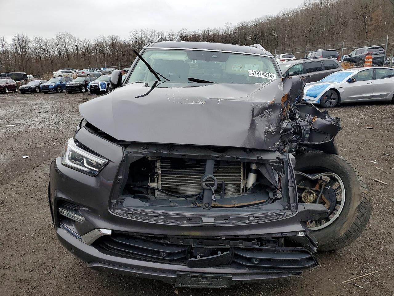 2024 Infiniti Qx80 Luxe - Фото 5