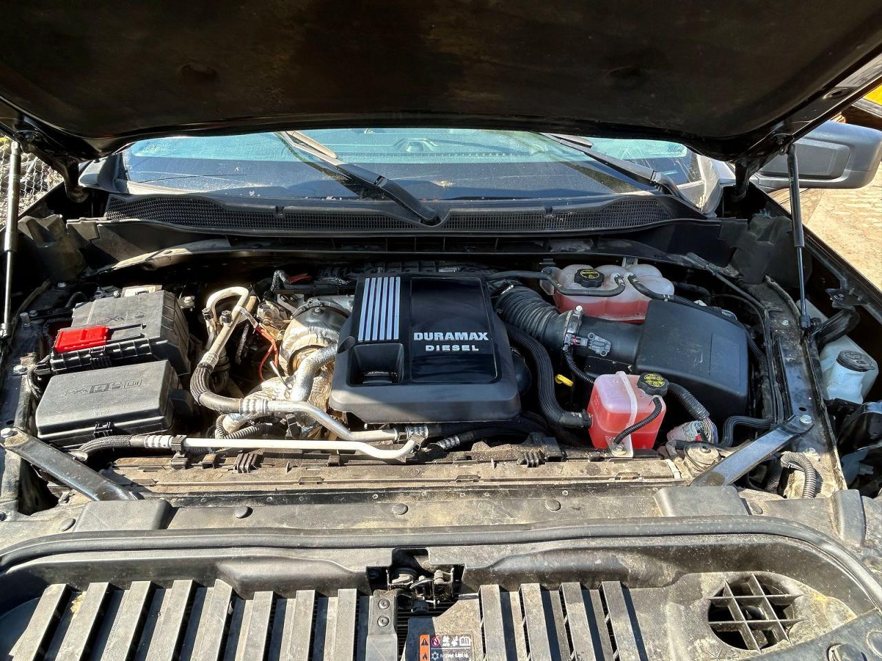 2024 Chevrolet Silverado K1500 Trail Boss Custom - Image 7