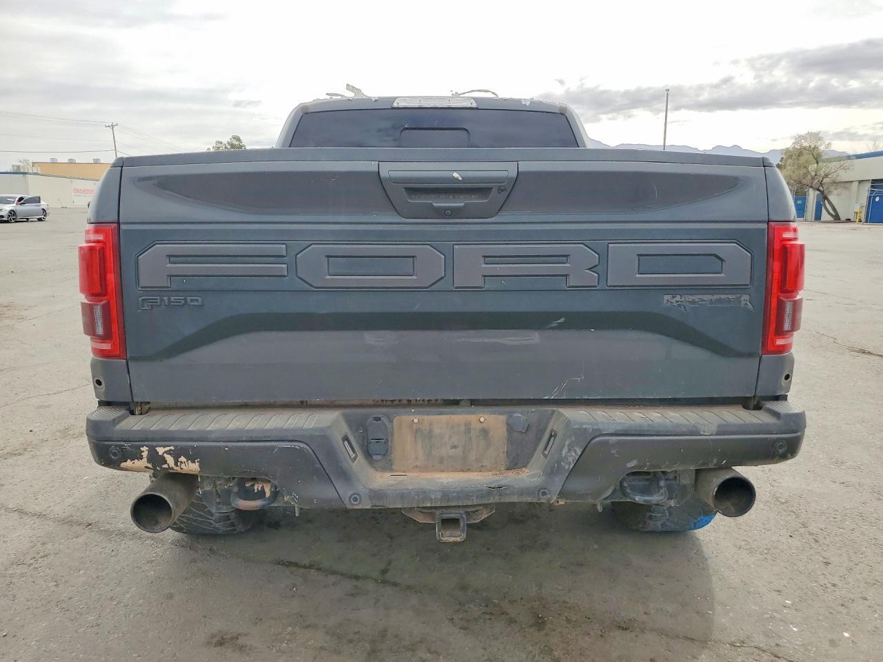 2020 Ford F150 Raptor - Фото 6