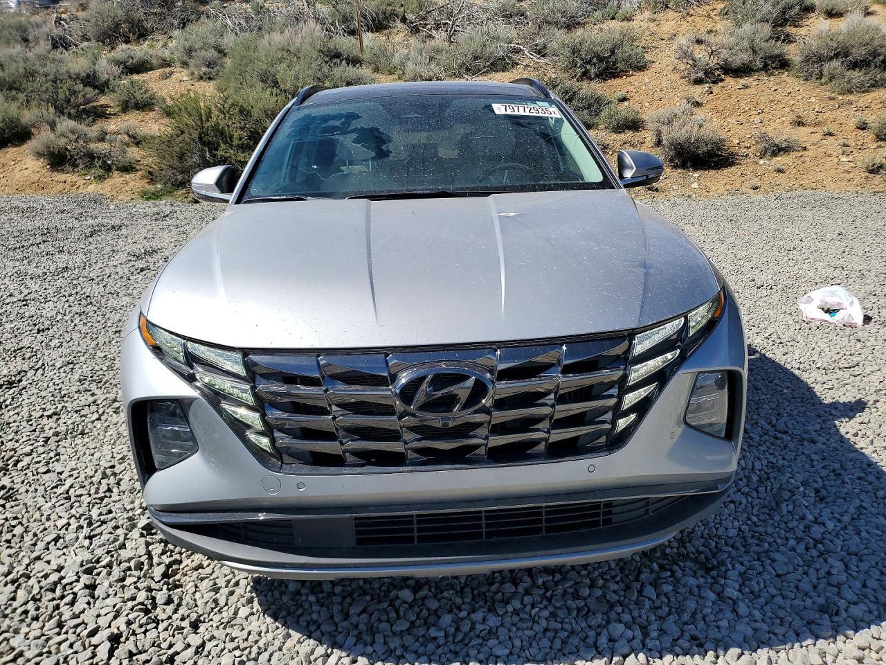2024 Hyundai Tucson Hybrid Limited - Фото 5