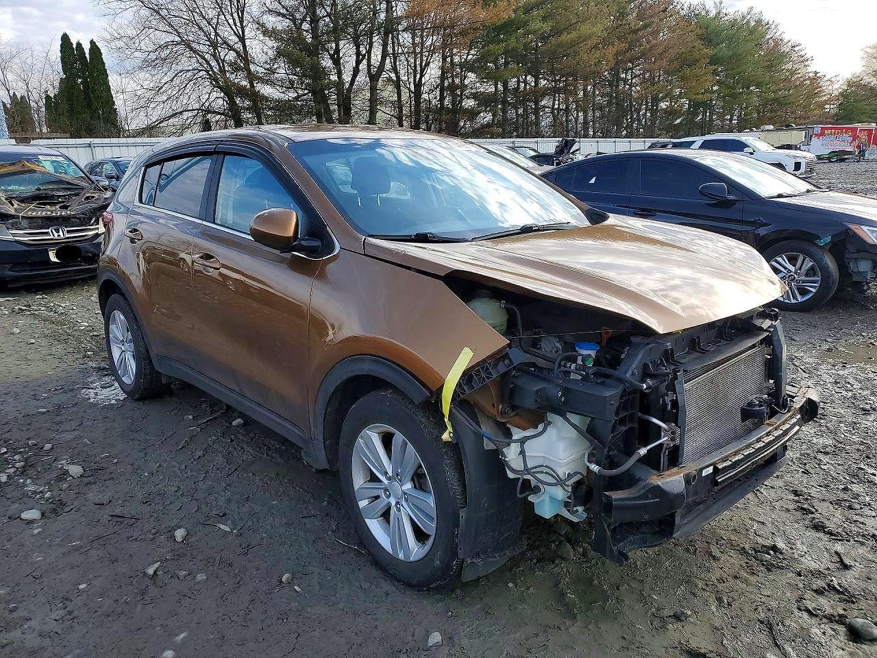 2017 Kia Sportage Lx - Image 4