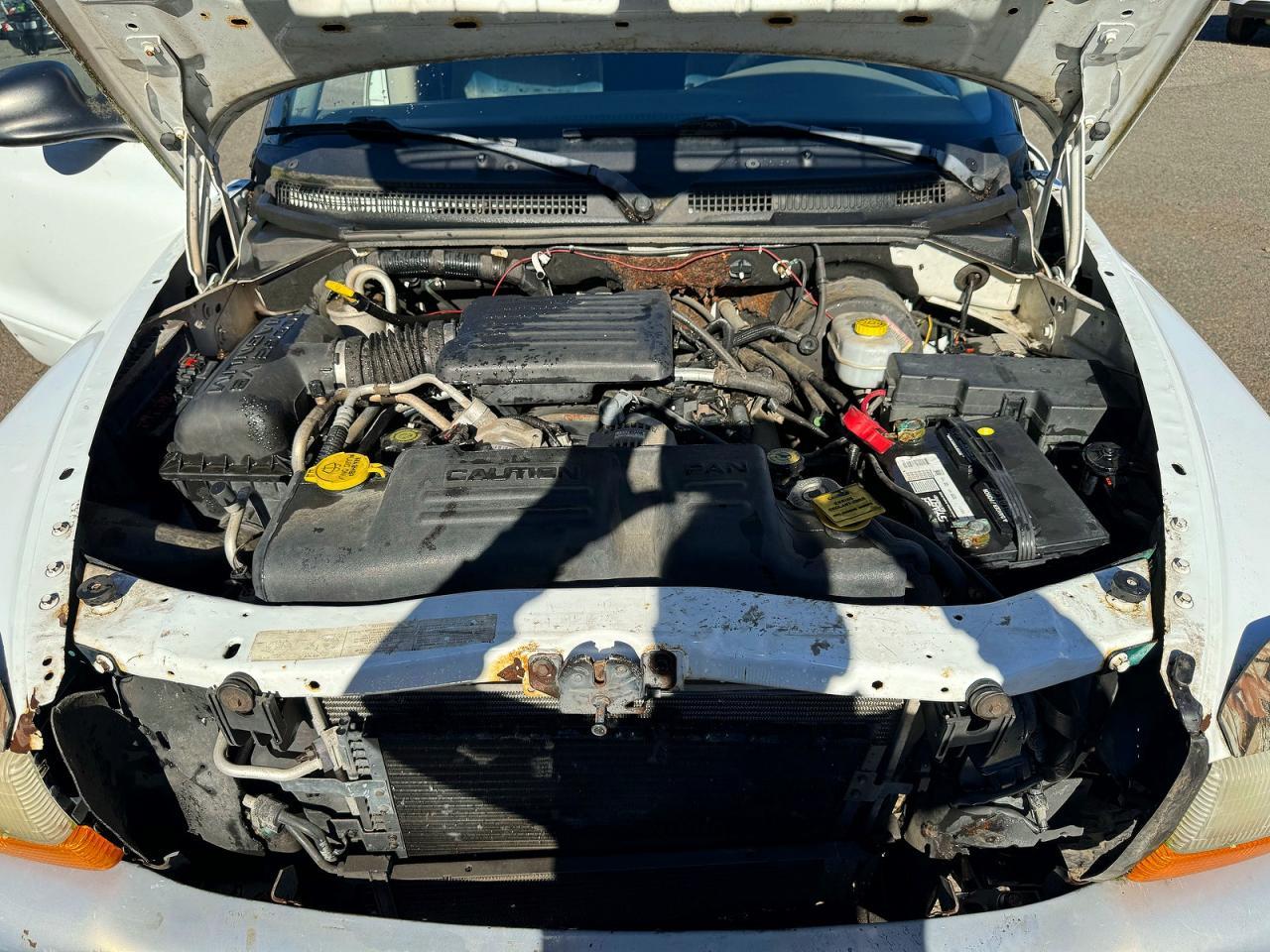 2003 Dodge Dakota Quad Sport - Image 7