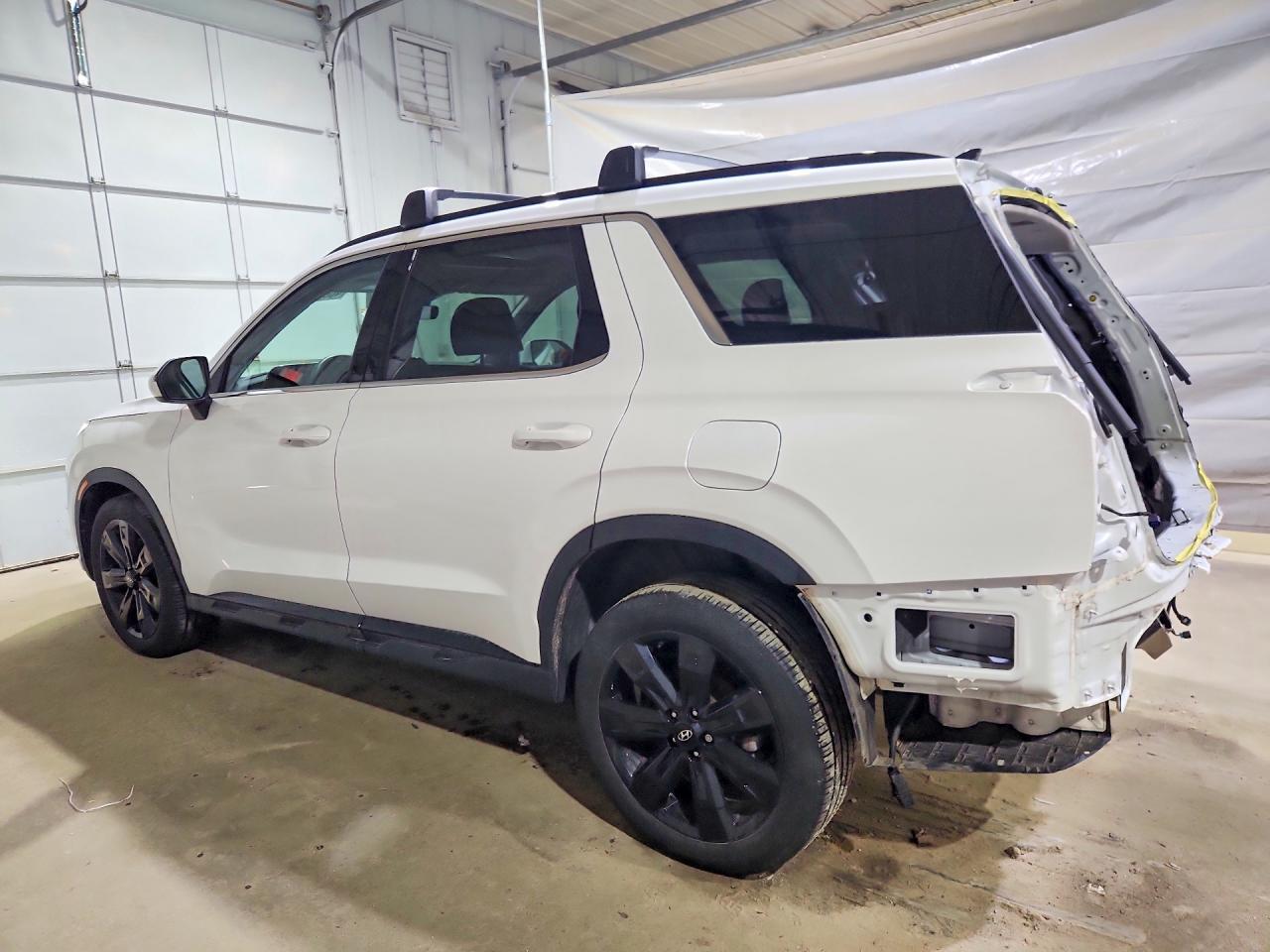 2024 Hyundai Palisade Xrt - Фото 2
