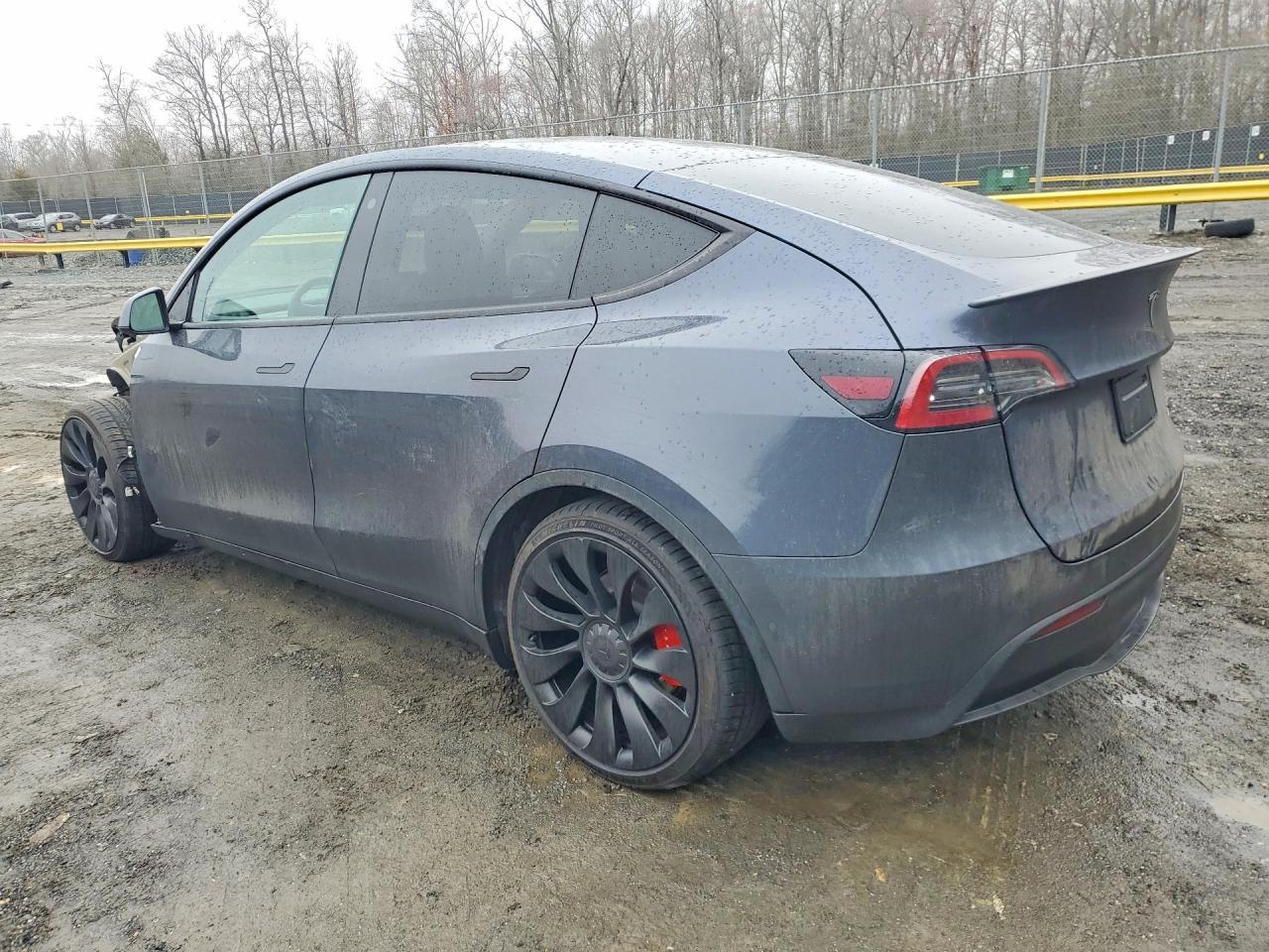2023 Tesla Model Y - Фото 2
