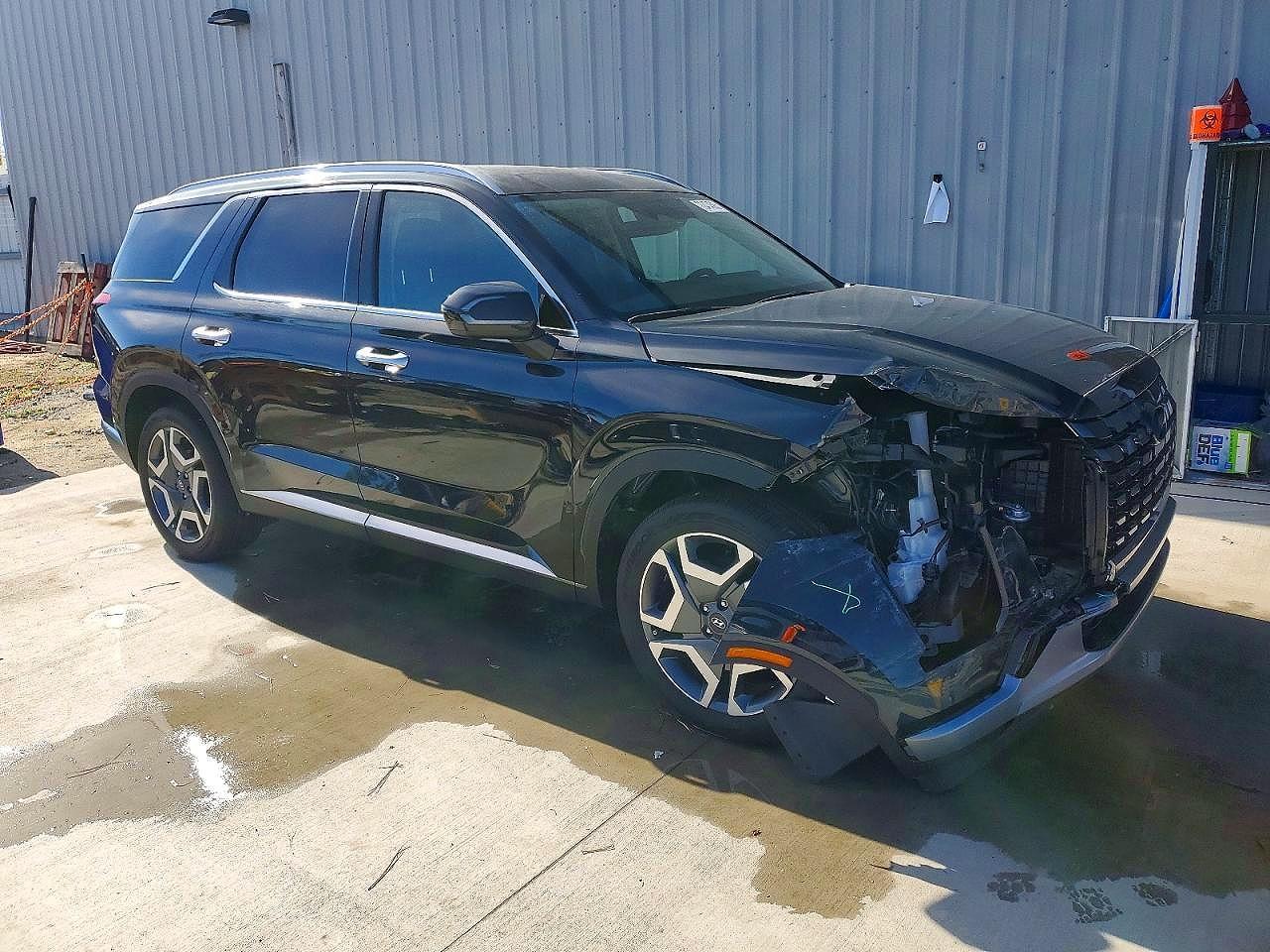 2024 Hyundai Palisade Limited - Фото 4