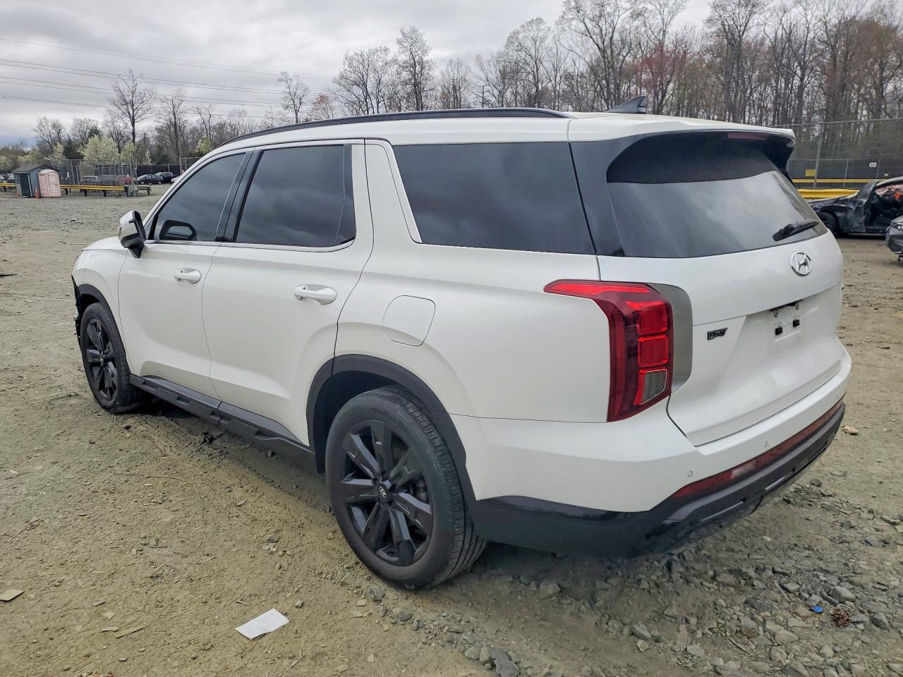 2023 Hyundai Palisade Xrt - Image 2