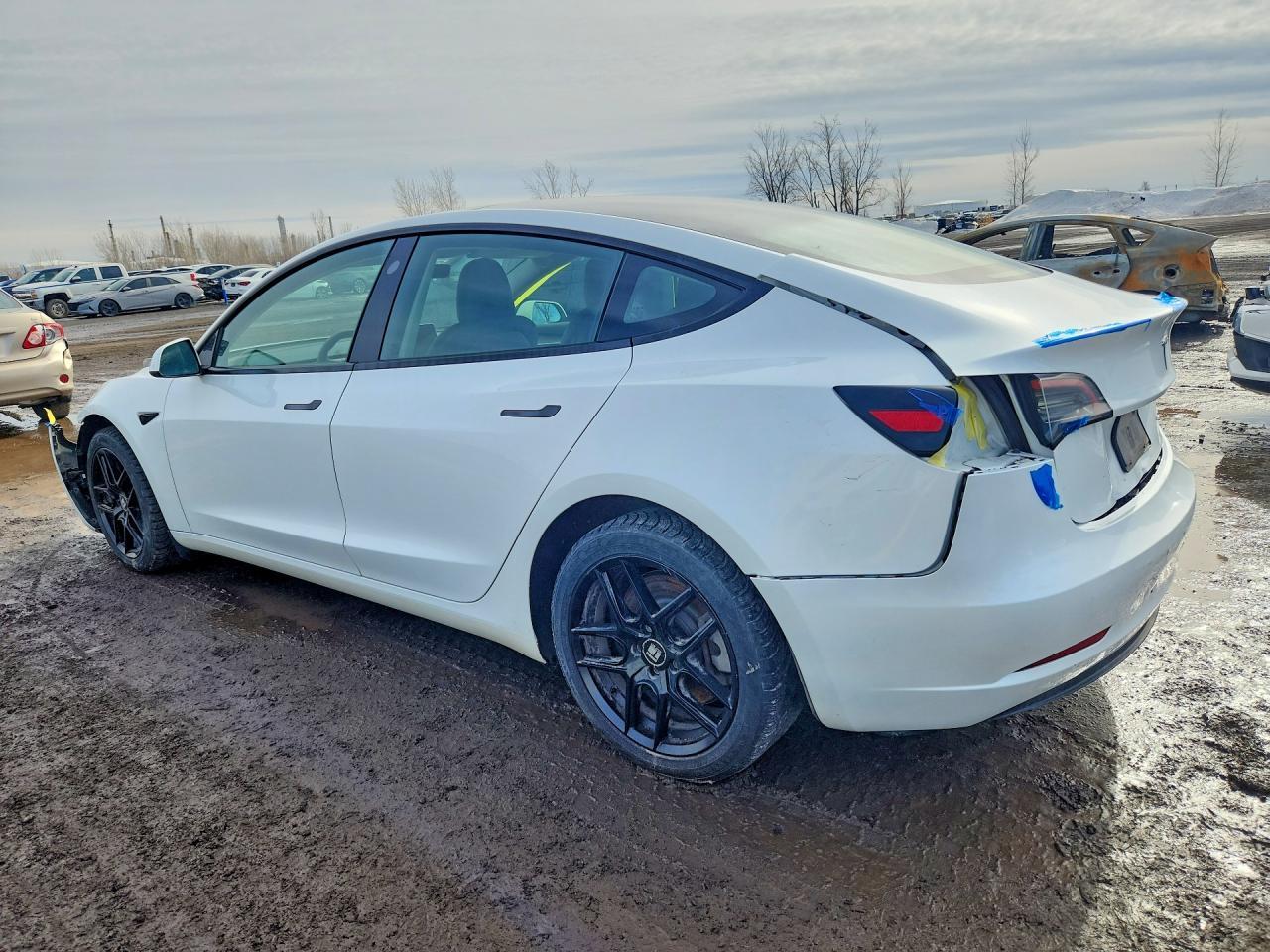 2023 Tesla Model 3 - Фото 2