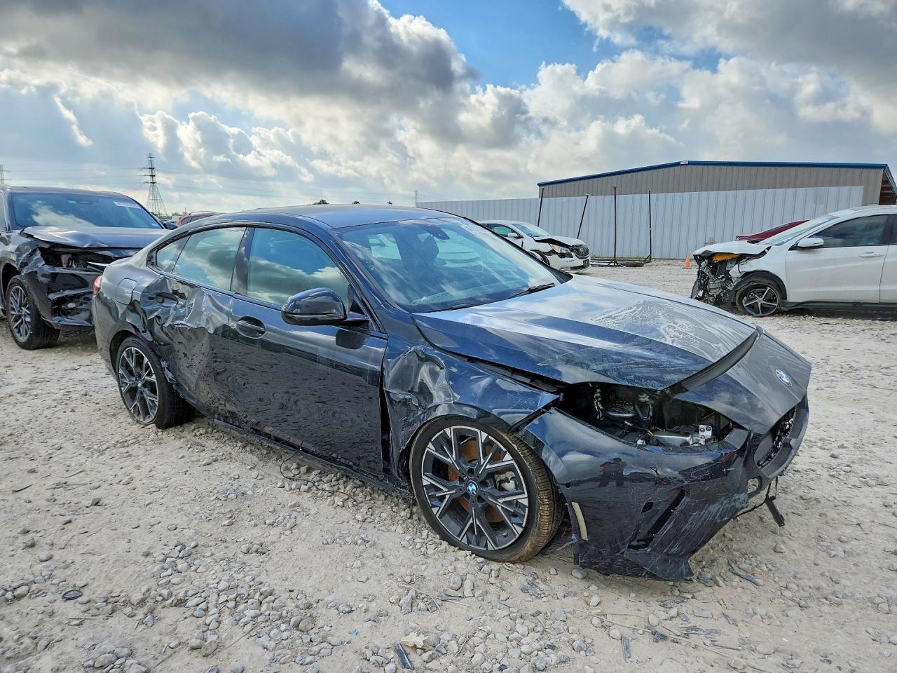 2025 BMW Motorrad 228Xi - Фото 4