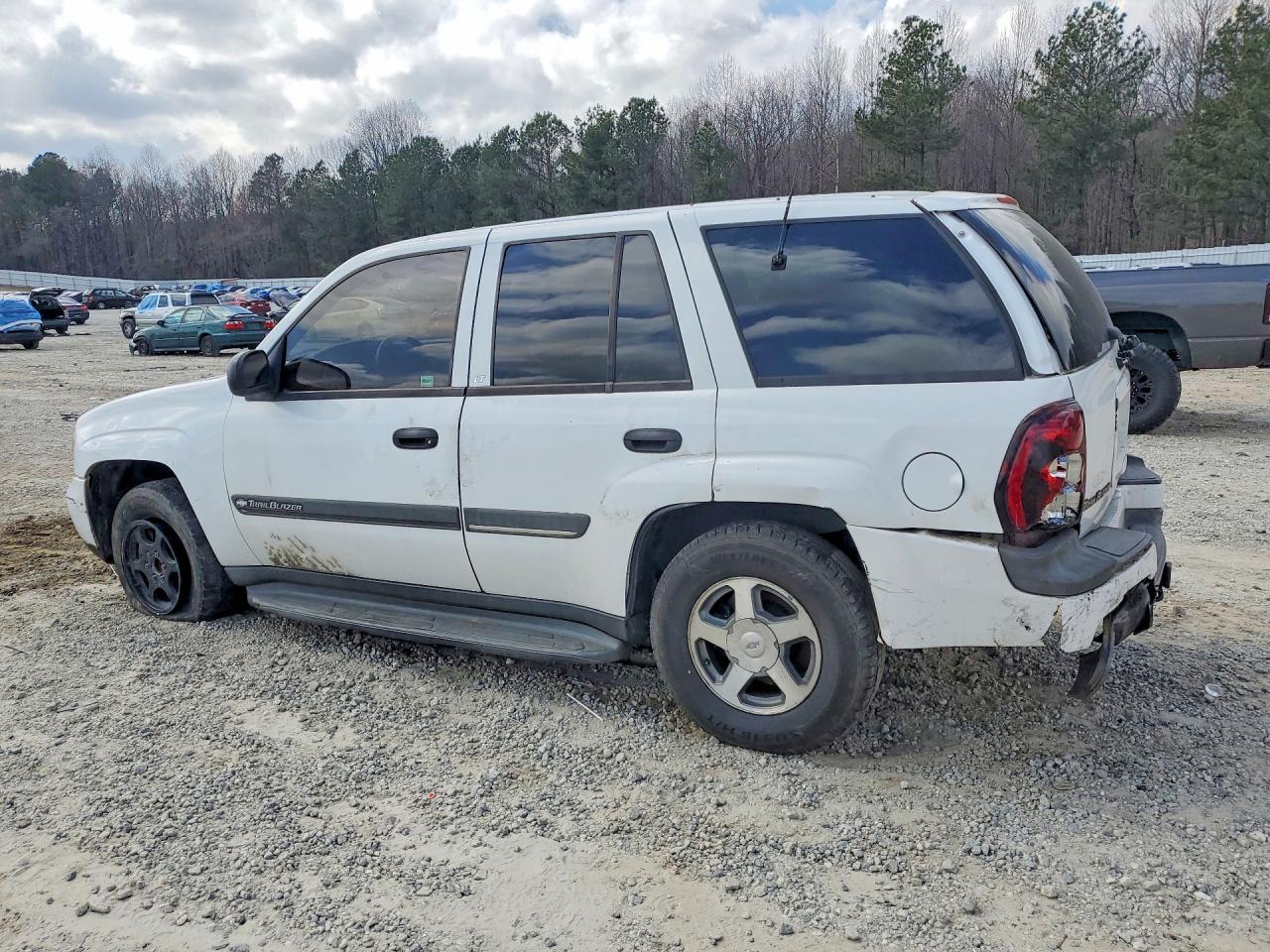 2002 Chevrolet Trailblazer - Фото 2