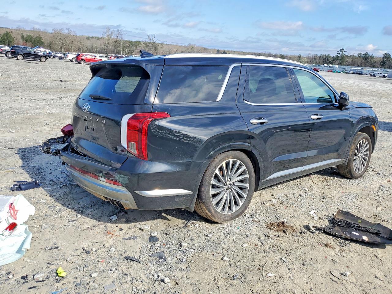 2024 Hyundai Palisade Calligraphy - Фото 3