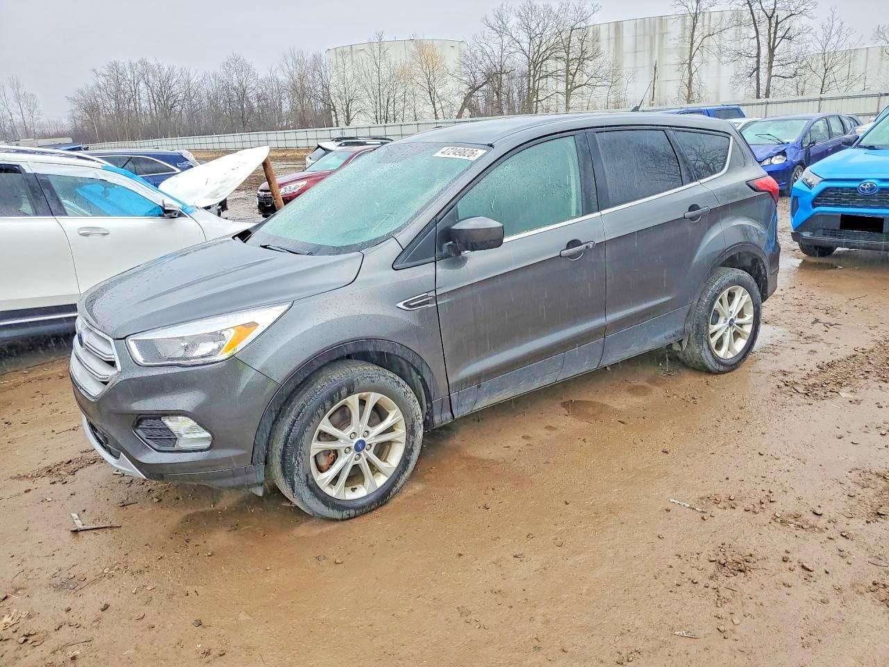 2019 Ford Escape Se