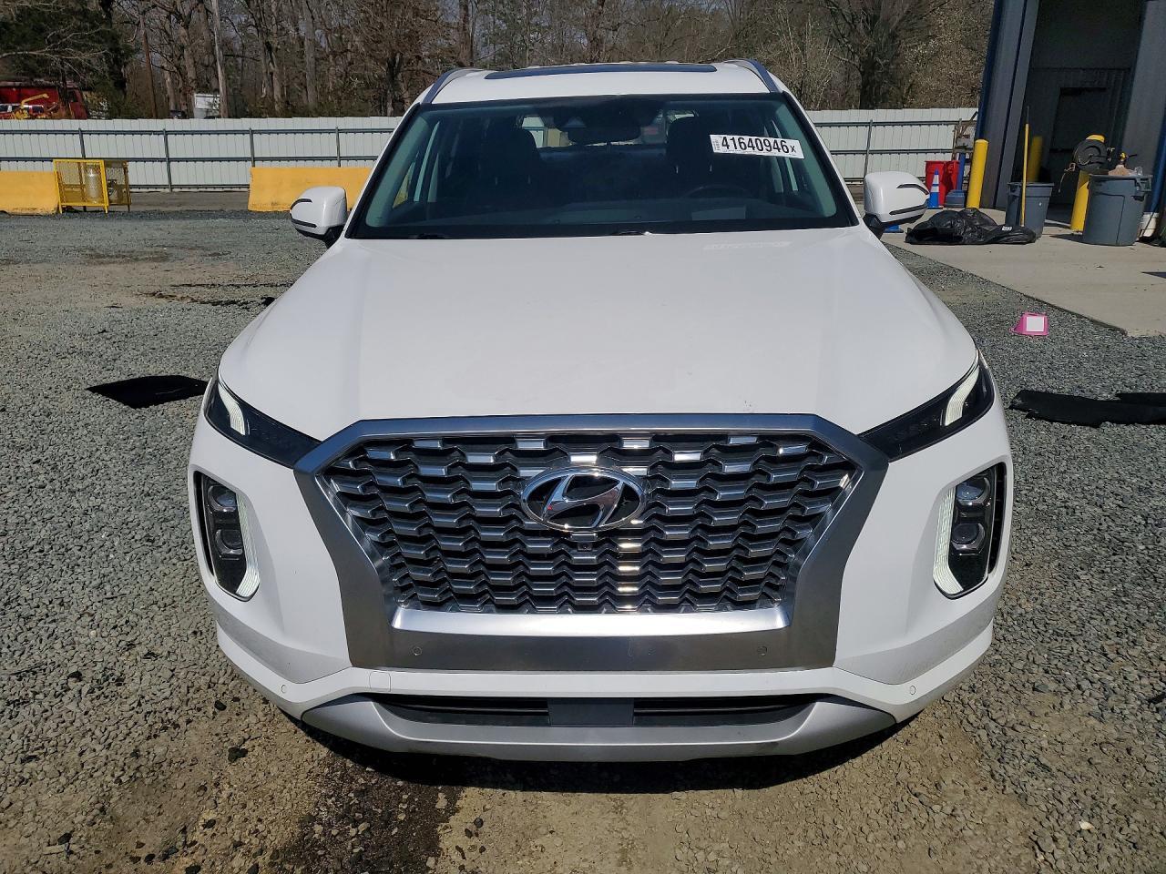 2022 Hyundai Palisade Limited - Фото 5