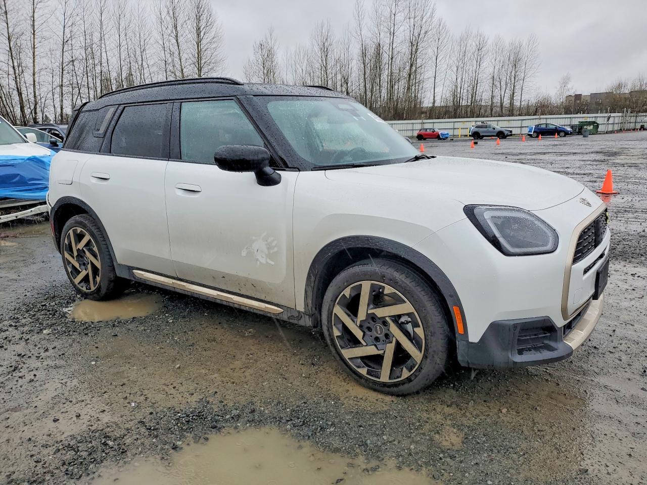 2025 Mini Countryman Se All4 - Фото 4