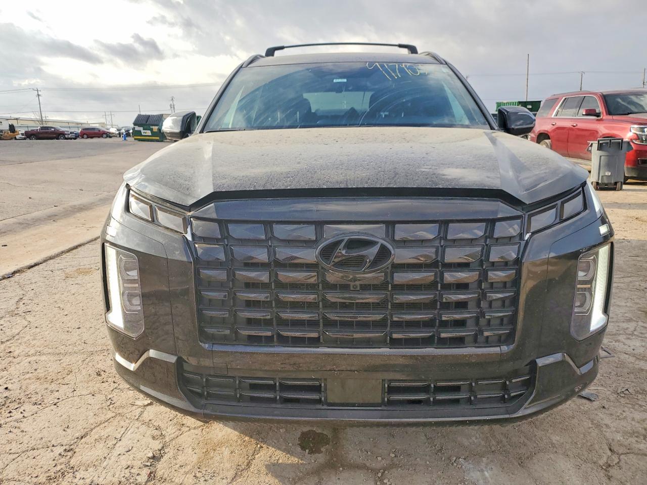 2025 Hyundai Palisade Calligraphy Night Edition - Фото 5