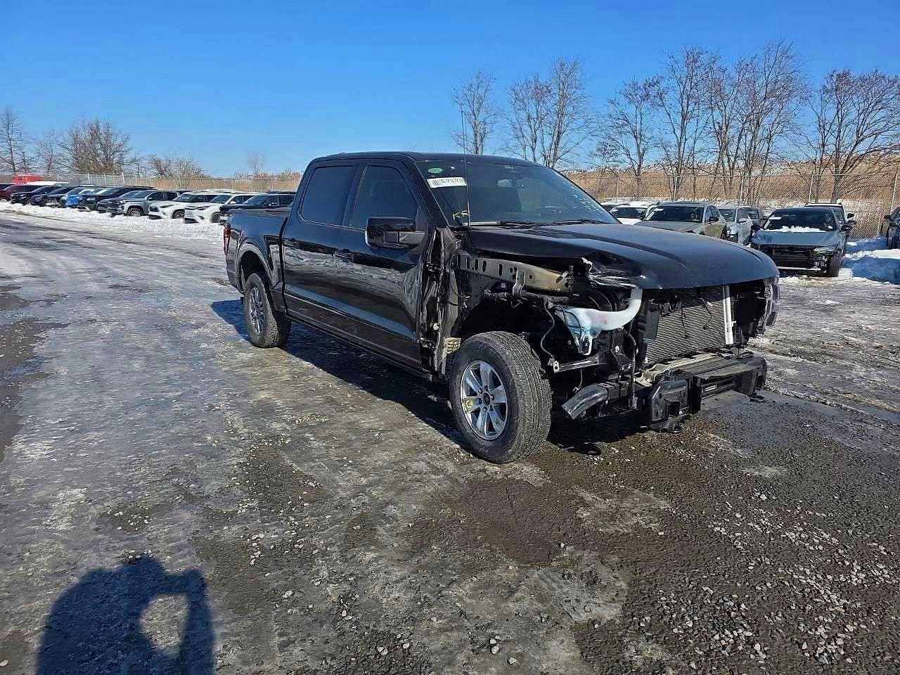 2024 Ford F150 Platinum - Фото 3