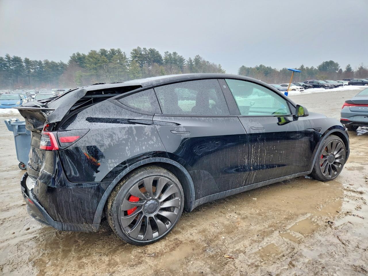 2022 Tesla Model Y - Фото 3