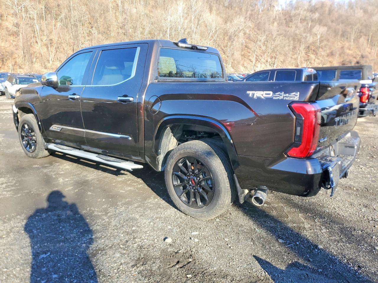 2024 Toyota Tundra 1794 Edition Hv - Фото 2