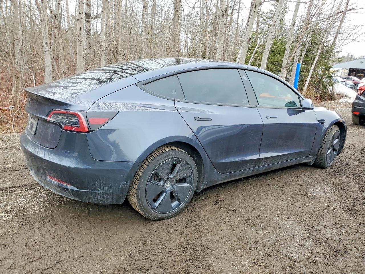 2023 Tesla Model 3 - Фото 3